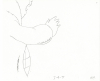 Mayors-drawing-07