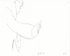 Mayors-drawing-08