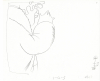 Mayors-drawing-15