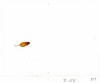 1_Jellybean-II-13-7C_B17