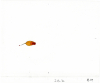 1_Jellybean-II-13-7C_B19