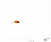 1_Jellybean-II-13-7C_B20