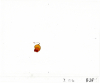1_Jellybean-II-13-7C_B24