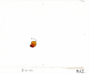 1_Jellybean-II-13-7C_B25