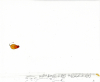 1_Jellybean-II-13-7_B1