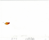 1_Jellybean-II-13-7_B9
