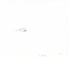 Jellybean-II-13-7C_B20