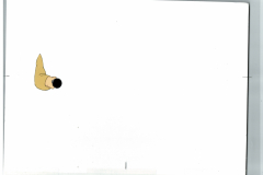 Flashlight_0011_III-2-2-painted-B10