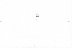 Chief_0058_III_2_2-painted-H48